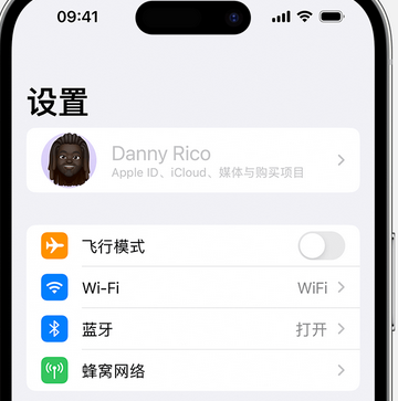 吕梁appleID维修服务iPhone设置中Apple ID显示为灰色无法使用 