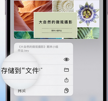 吕梁apple维修中心分享iPhone文件应用中存储和找到下载文件