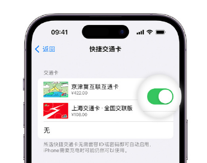 吕梁apple维修点分享iPhone上更换Apple Pay快捷交通卡手绘卡面 