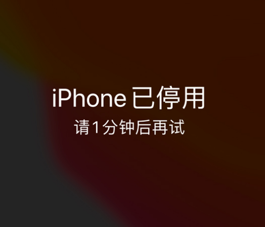 吕梁苹果手机维修分享:iPhone 显示“不可用”或“已停用”怎么办？还能保留数据吗？ 