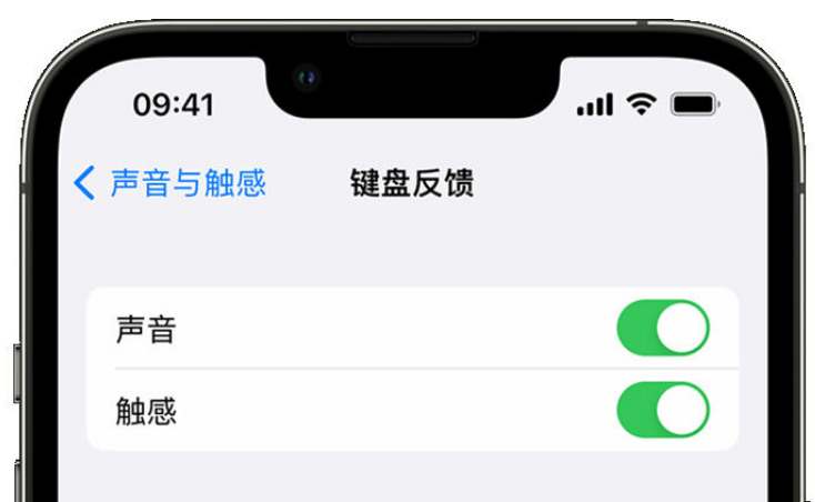 吕梁苹果手机维修分享iPhone 14触感键盘使用方法 