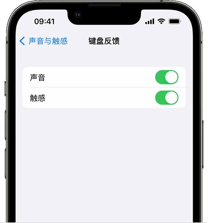 吕梁苹果14维修店分享如何在 iPhone 14 机型中使用触感键盘 