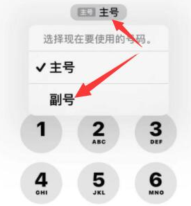 吕梁苹果14维修店分享iPhone 14 Pro Max使用副卡打电话的方法 