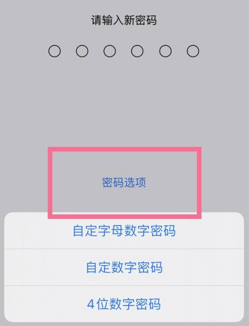 吕梁苹果14维修分享iPhone 14plus设置密码的方法 