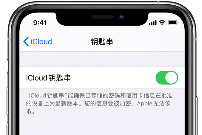 吕梁苹果手机维修分享在 iPhone 上开启 iCloud 钥匙串之后会储存哪些信息 